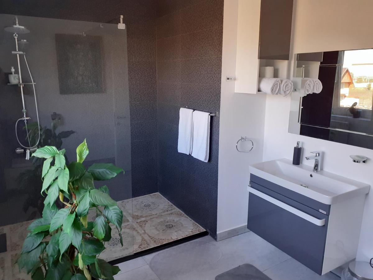 Salcia Hotel Tasnad Luaran gambar